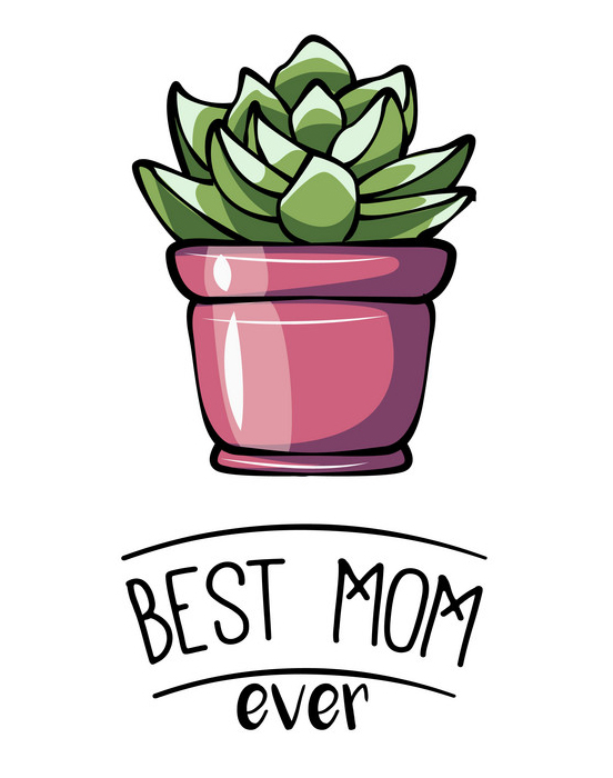 Happy mother s day greeting card with succulent. Vector illustration.